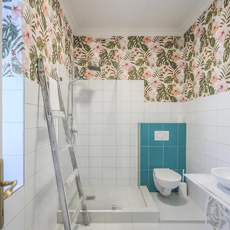 Bella 包道乔尼托毛伊