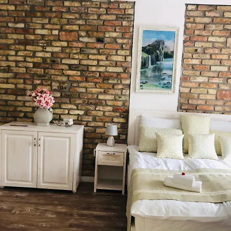 Bella 包道乔尼托毛伊